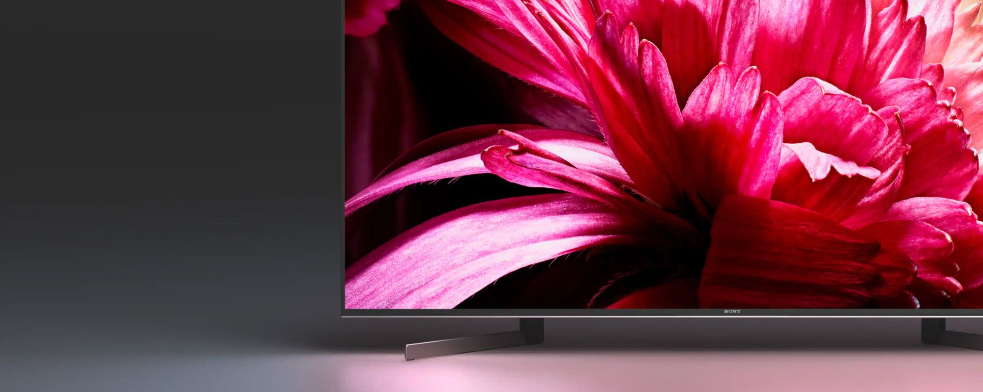 Sony image of tv with vibrant pink flower on screen